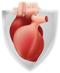 Corazón